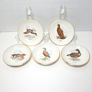 Wild Game Bird Themed Carrigaline Pottery Tidbit Plates 4" Set of 5